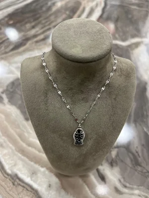 Kararmaz Balık Çelik Kolye